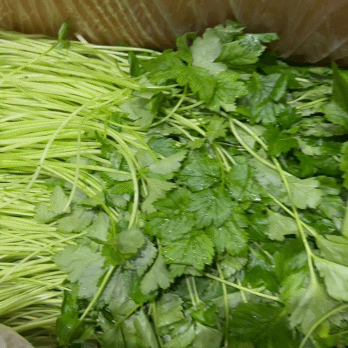 [프레쉬봄] 국내산 참나물 (봉)