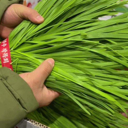 [프레쉬봄] 국내산 부추 (단)