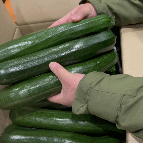 [프레쉬봄] 국내산 쥬키니 호박(개)