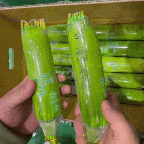 [프레쉬봄] 국내산 인큐 애호박 (개)