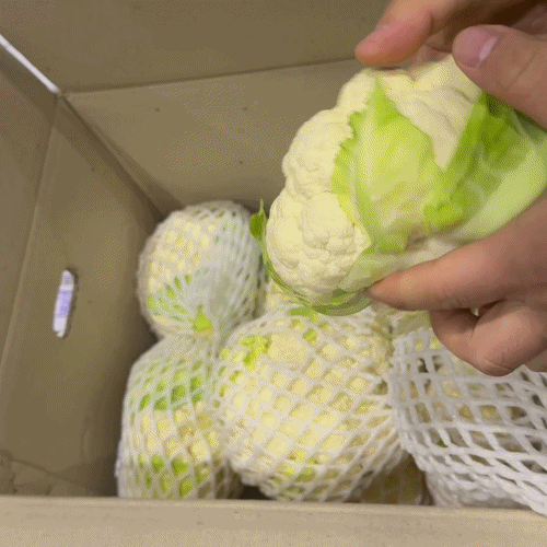 [프레쉬봄] 국내산 컬리플라워 (송이)